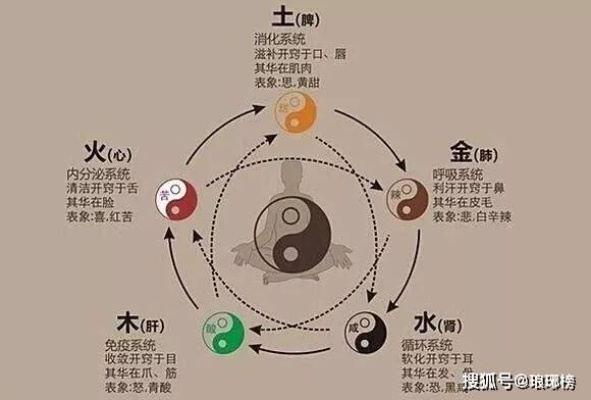 道家养生文化产品体系，调和身心，延年益寿