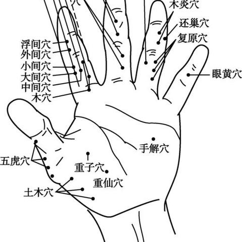 中医养生智慧，打造健康生活的秘诀  第1张