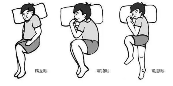 探索最养生的睡姿，中医养生视角下的睡眠智慧