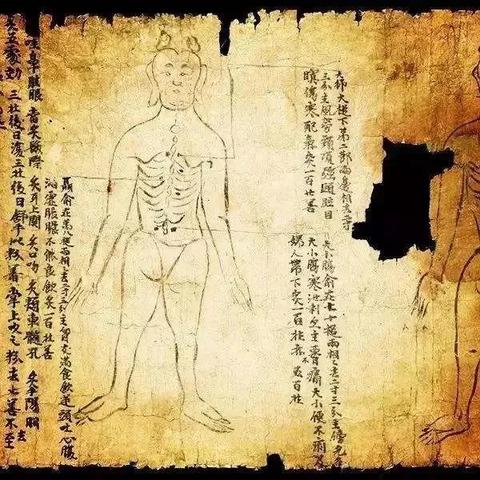 道家养生文化产品体系的多样性与实践