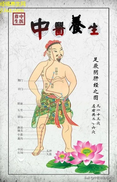 中医养生知识，探索经络养生的奥秘