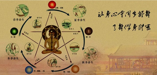 道家智慧引领下的现代健康养生产品
