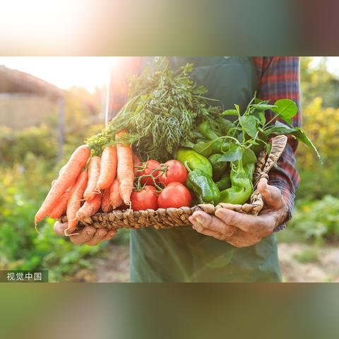 酸味在中医中的养生作用与应用