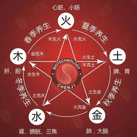 中医养生小知识100条，传统智慧引领健康生活