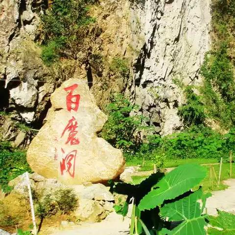 探索贵州巴马长寿村的养生秘诀