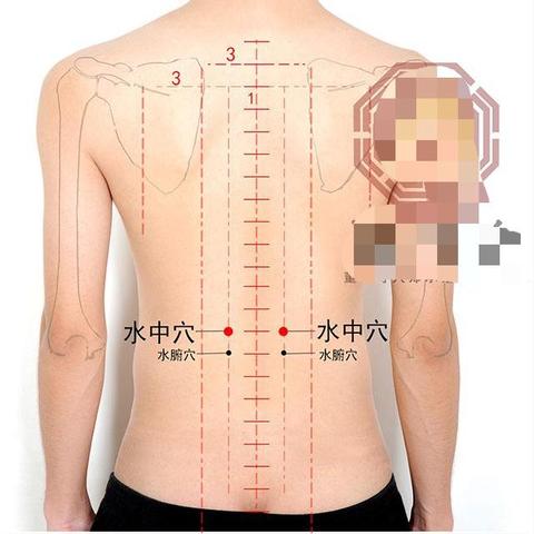 中医养生项目简介，传统智慧与现代生活的健康融合
