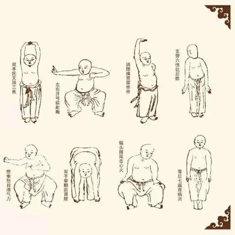 中医养生调理，健康生活的艺术