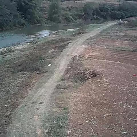 巴马长寿村，探索自然与中医养生的长寿秘诀