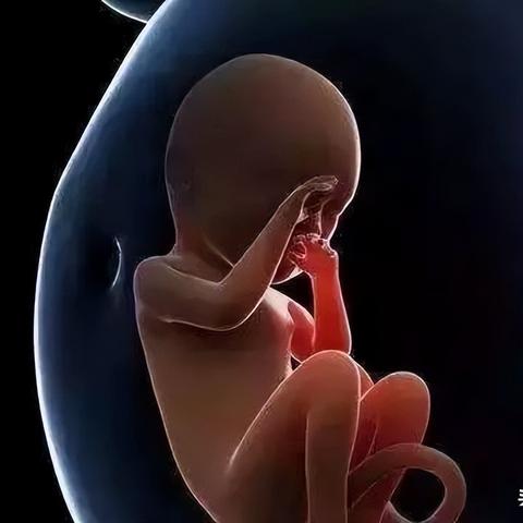 养生睡姿,吉祥卧的奥秘与实践