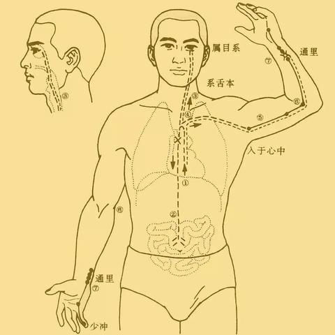黄飞鸿健康养生科技有限公司，融合传统中医智慧与现代科技的健康新纪元