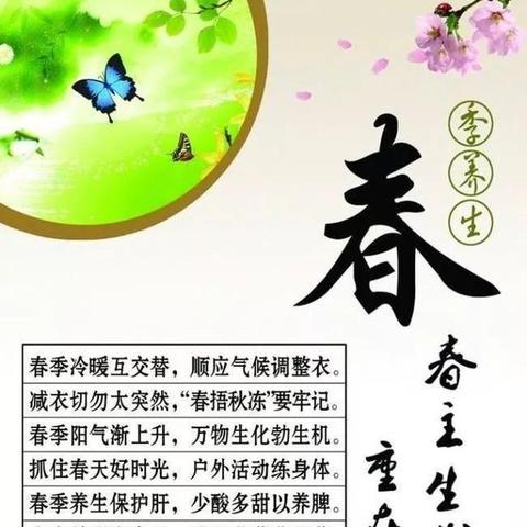 中医养生智慧，健康课程讲座精华分享