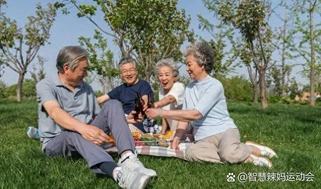 老年人日常养生指南,传统智慧与现代生活的和谐融合