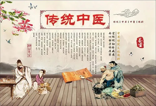 中医养生知识培训课件，传统智慧与现代生活的完美融合
