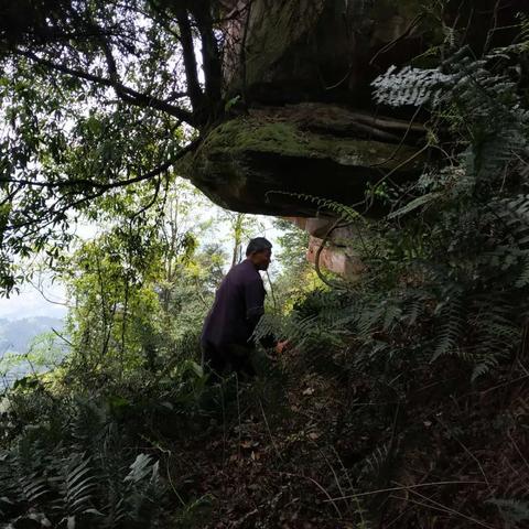 道家养生观念,追求自然和谐与身心平衡的艺术