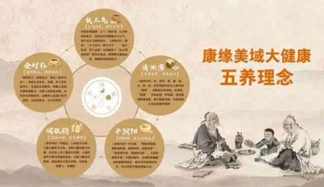 中医养生,探索传统智慧中的健康秘诀