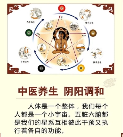 中医养生智慧,调和阴阳,滋养生命