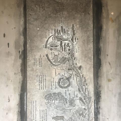 道家养生文化,自然和谐与长寿之道