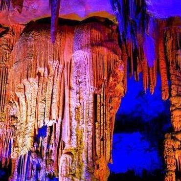 巴马一日游,探索长寿之乡的中医养生之旅