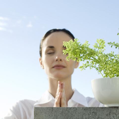 探索养生堂护肤品的起源与品质,全球视角下的中医养生智慧