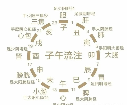 中医养生,探索最佳睡眠时间的智慧